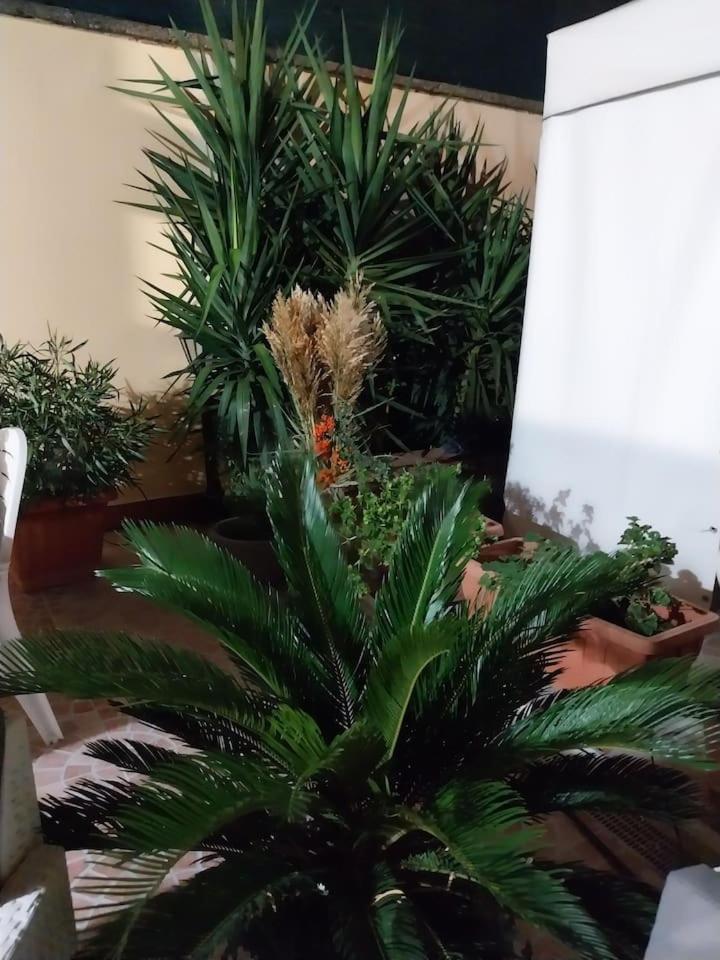 Apartament Il Giardino Di Marimar Zewnętrze zdjęcie